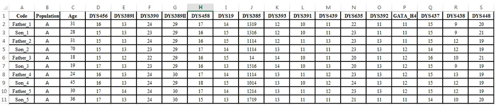 Excel worksheet